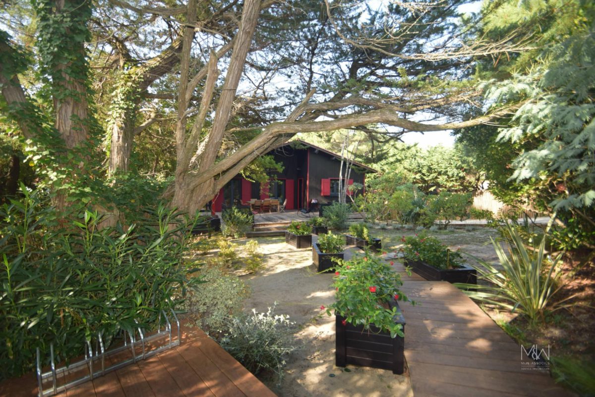 cap ferret maison calme forêt