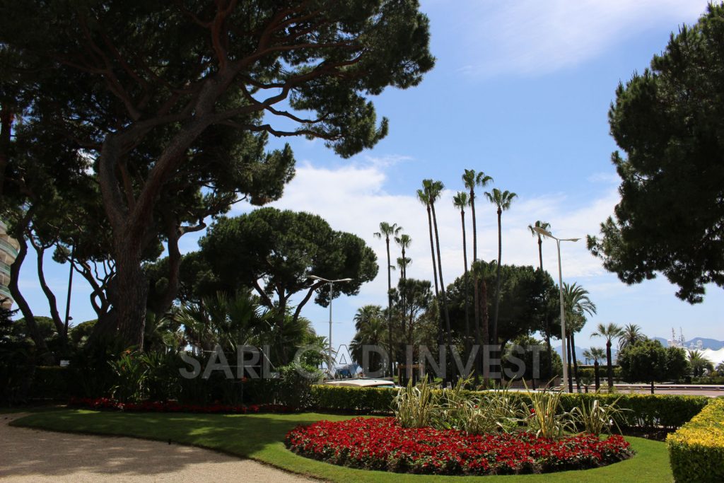 Studio avec terrasse véranda – 1 pièce – 1 chambre – 21 m²