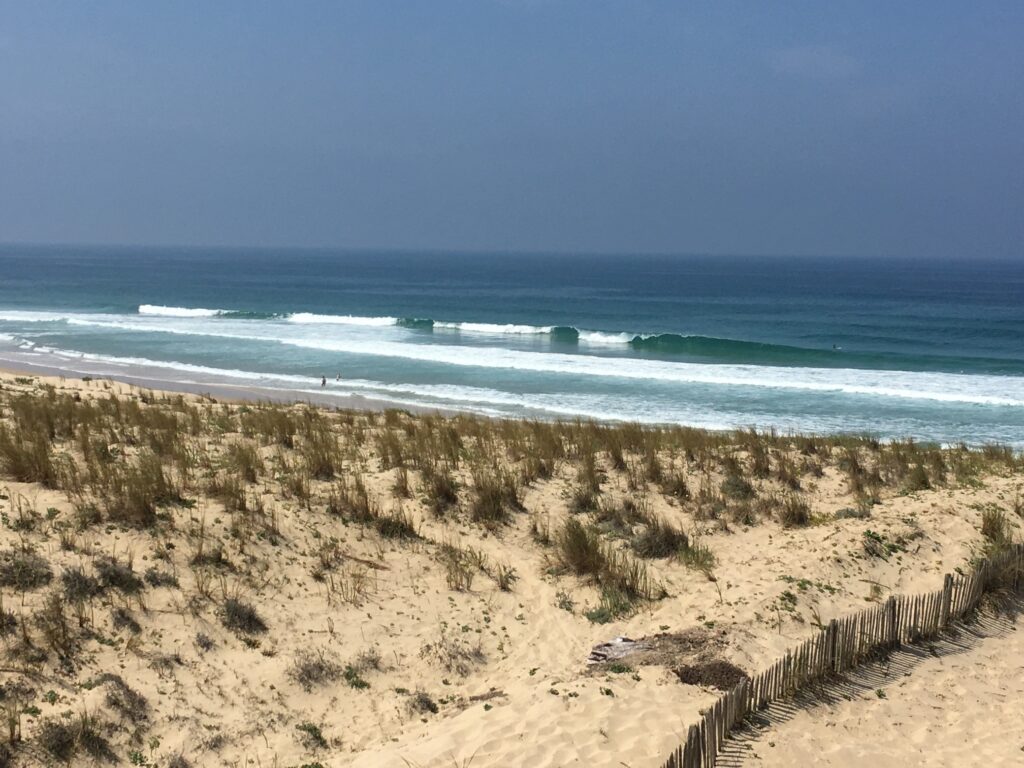 Appartement en première ligne vue unique dune et océan – 1 chambre – 4 voyageurs – 24 m²