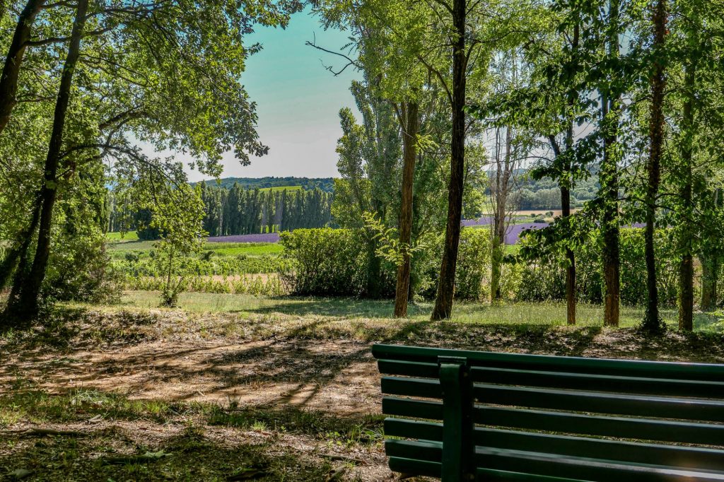 Bastide d’exception au cœur de l’Enclave des Papes – 7 pièces – 6 chambres – 540 m²