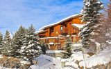 Chalet mitoyen avec jacuzzi, salle de sport, sauna – 5 chambres – 12 voyageurs – 300  m²