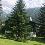 Appartement – 3 pièces – 2 chambres – 43 m²