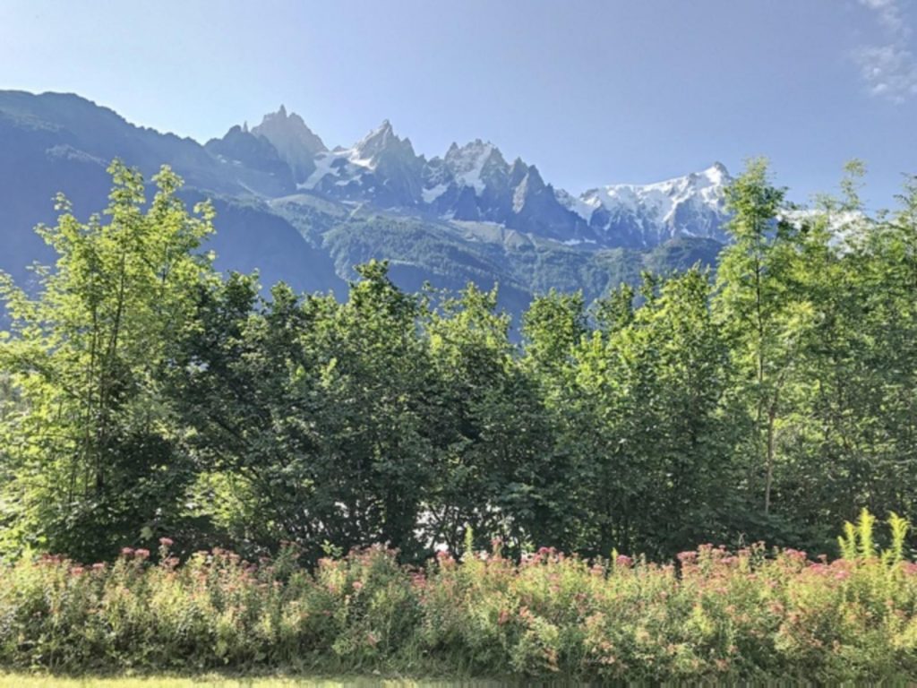 Maison – 7 pièces – 6 chambres – 200 m²