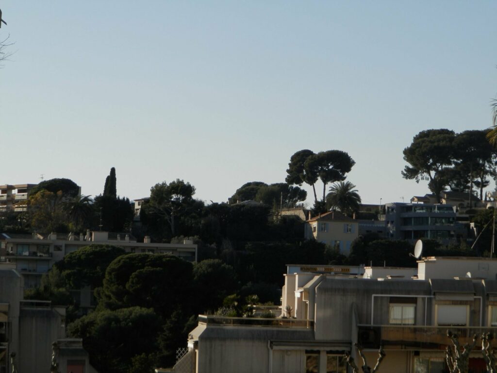 Appartement avec terrasse vue mer – 2 pièces – 1 chambre – 45 m²