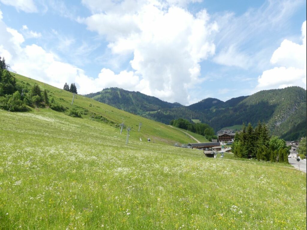 Appartement dans chalet 2**, “skis aux pieds” – 4 chambres – 9 voyageurs – 90 m²