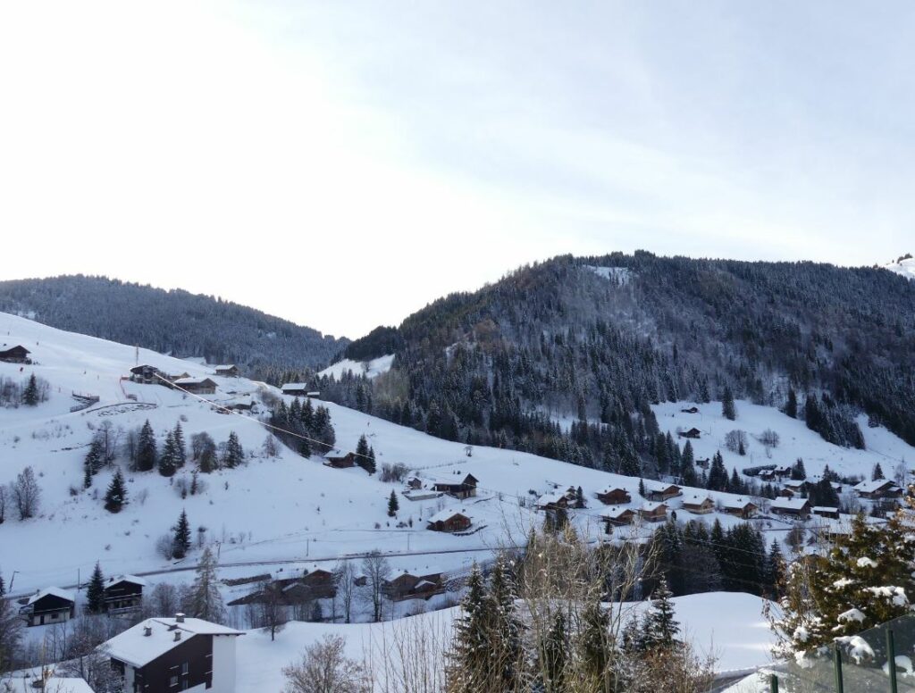 Appartement 2** “skis aux pieds” – 1 chambre – 5 voyageurs – 49 m²