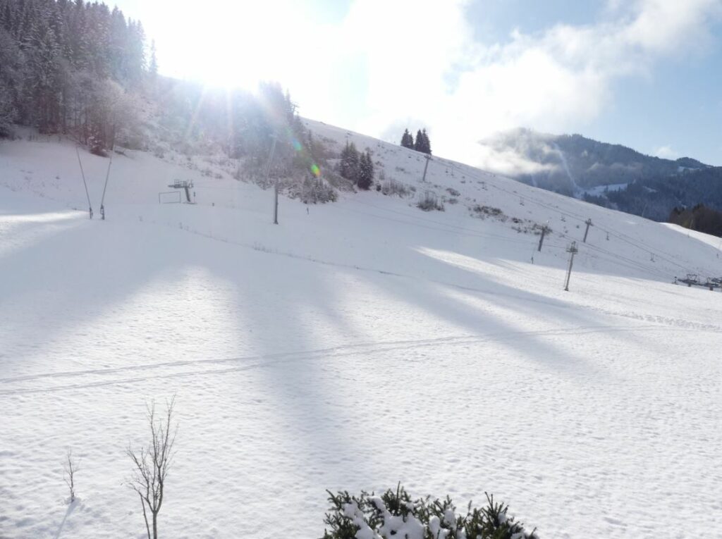 Appartement dans chalet 2**, “skis aux pieds” – 4 chambres – 9 voyageurs – 90 m²