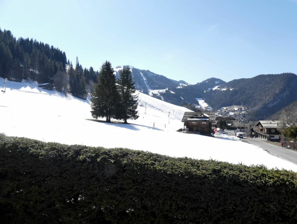 Chalet de deux appartements 3*** au pied des pistes  – 3 chambres – 6 voyageurs – 53 m²