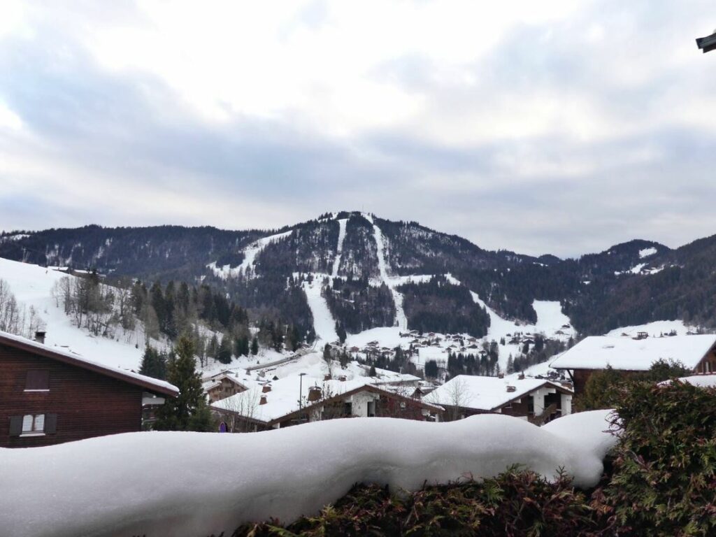 Appartement 2** proche village – 1 chambre – 4 voyageurs – 28 m²