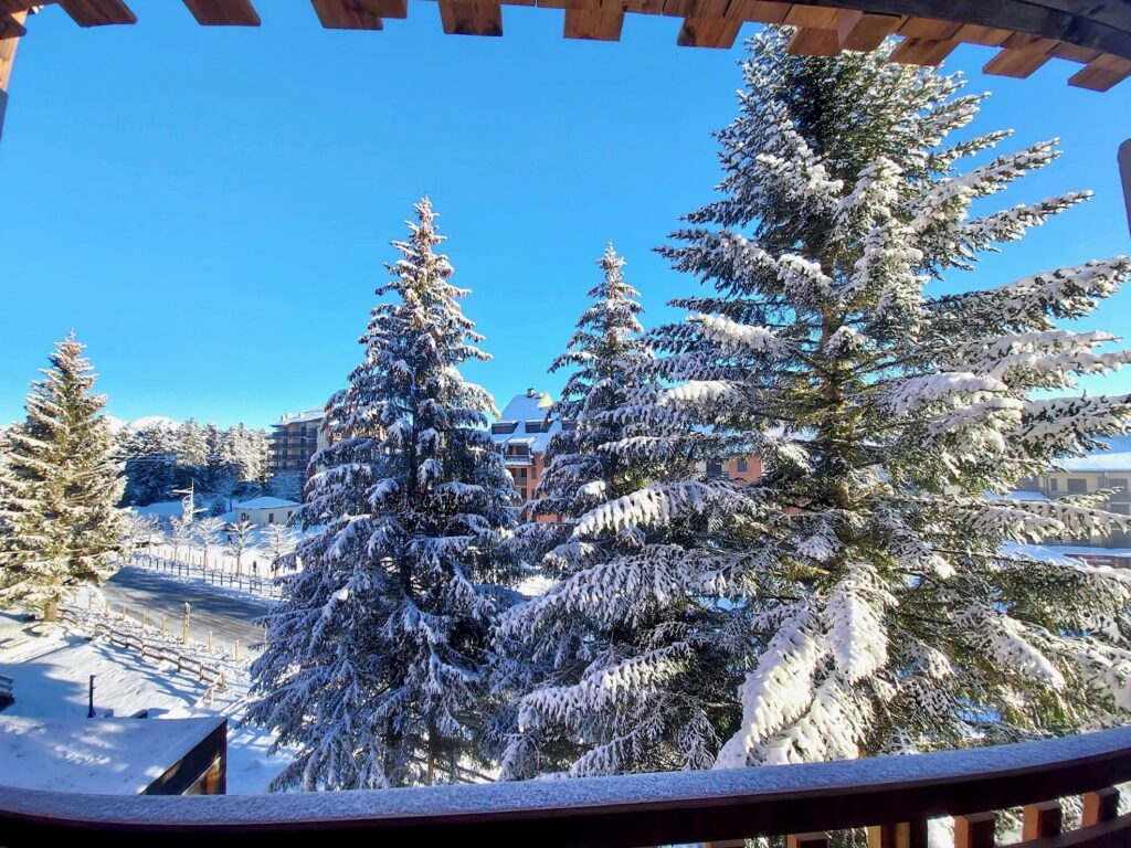 Studio – 1 chambre – 2 voyageurs – 18 m²