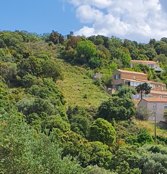 Terrain – 6500 m²