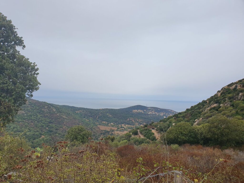 Terrain – 6500 m²