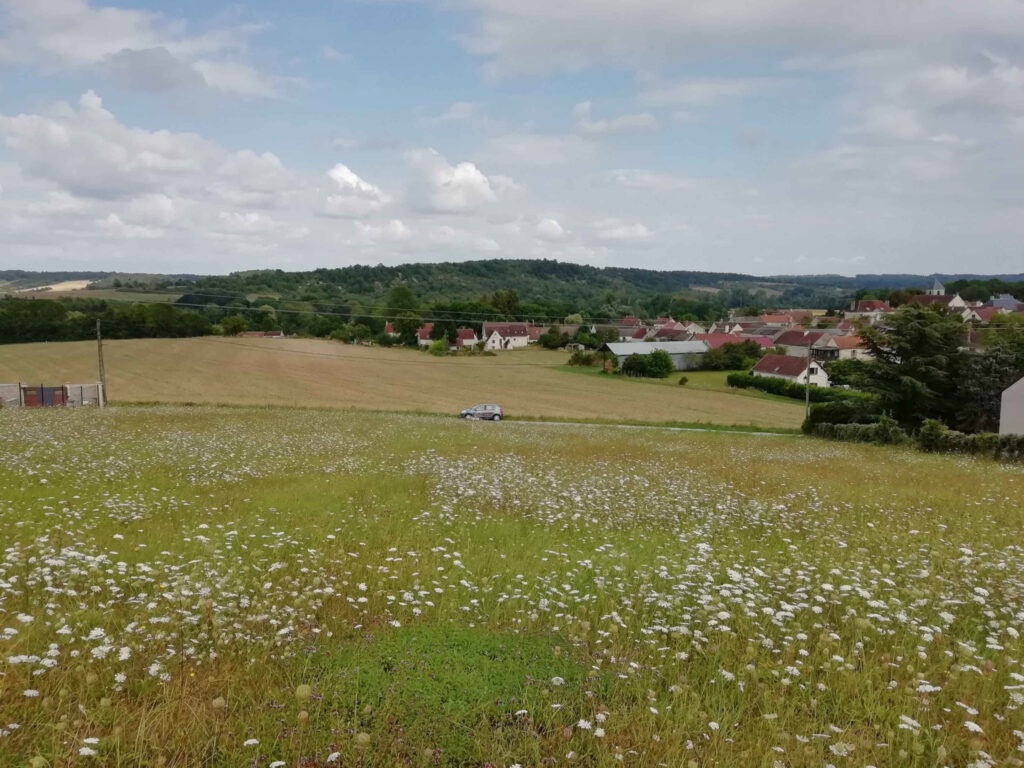 EXCLUSIVITE, Grand terrain à bâtir à TRUCY SUR YONNE 25min d