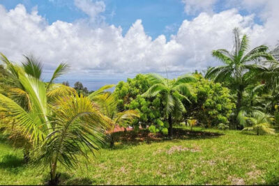 La Montagne, secteur du Chemin de L État Major – NR pièces – NR chambres – 1194 m²