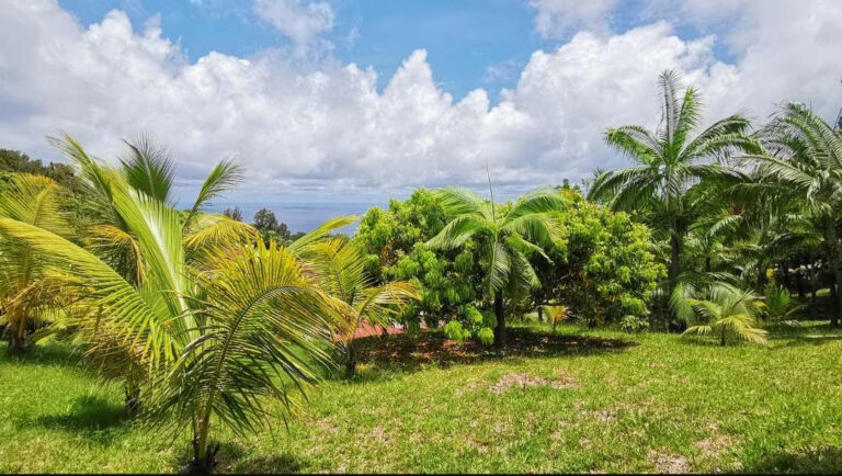 La Montagne, secteur du Chemin de L État Major – NR pièces – NR chambres – 1194 m²