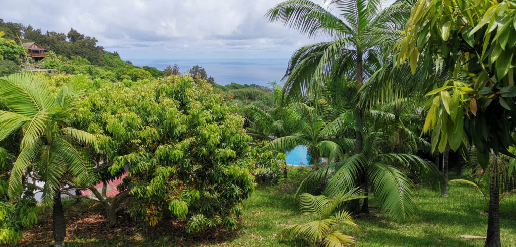 La Montagne, secteur du Chemin de L État Major