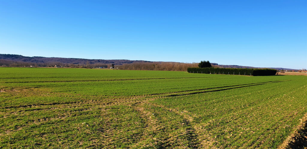 TERRAIN A BATIR idéal LOTISSEUR de 6 797m2