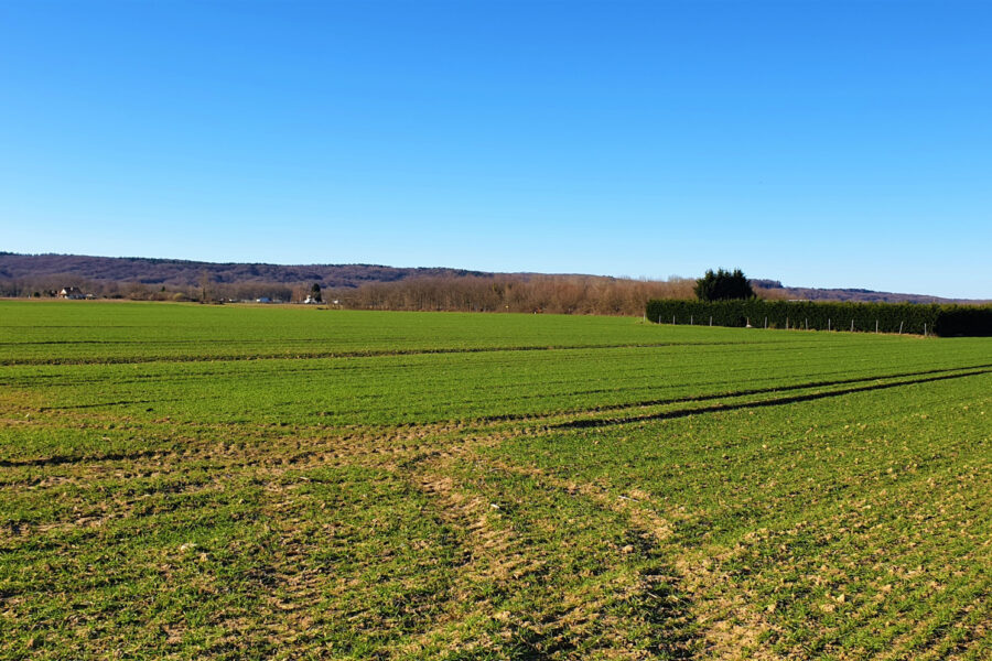 Terrain à vendre à Bordères-sur-l&rsquo;Échez