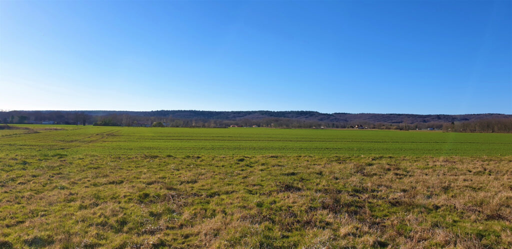 TERRAIN A BATIR idéal LOTISSEUR de 6 797m2