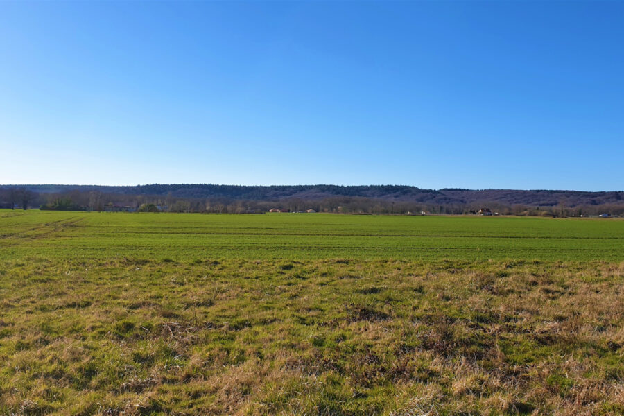 Terrain à vendre à Bordères-sur-l&rsquo;Échez