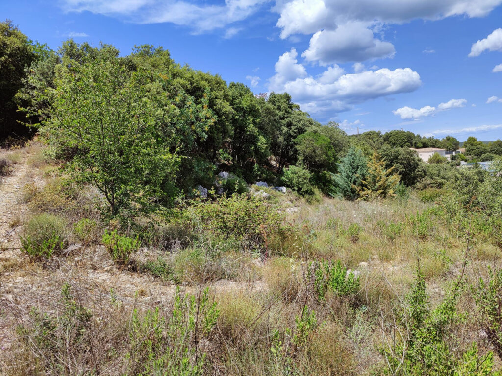 TERRAIN A BATIR ARGELLIERS