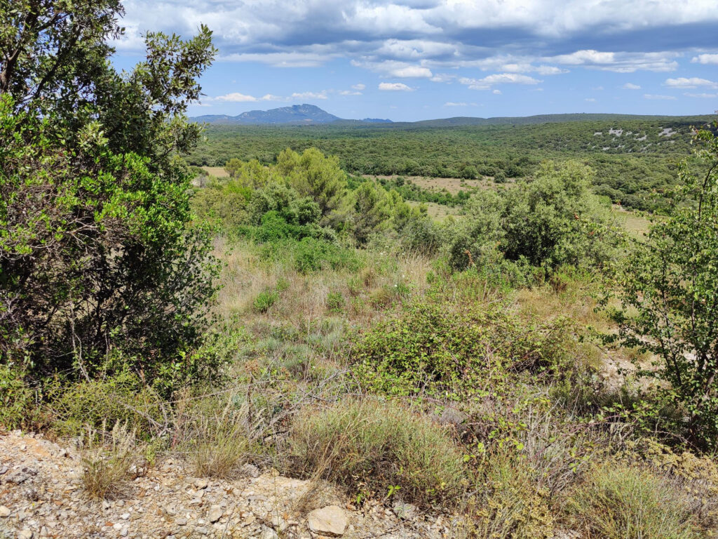 TERRAIN A BATIR ARGELLIERS