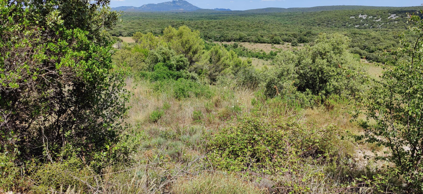 TERRAIN A BATIR ARGELLIERS