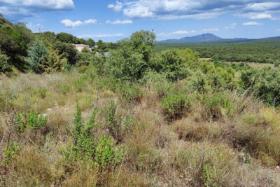 TERRAIN A BATIR ARGELLIERS – NR pièces – NR chambres – 3254 m²