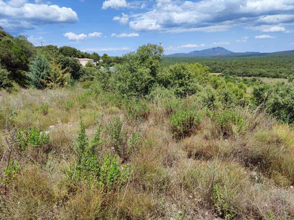 TERRAIN A BATIR ARGELLIERS