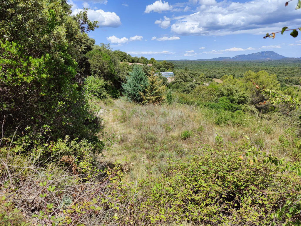 TERRAIN A BATIR ARGELLIERS