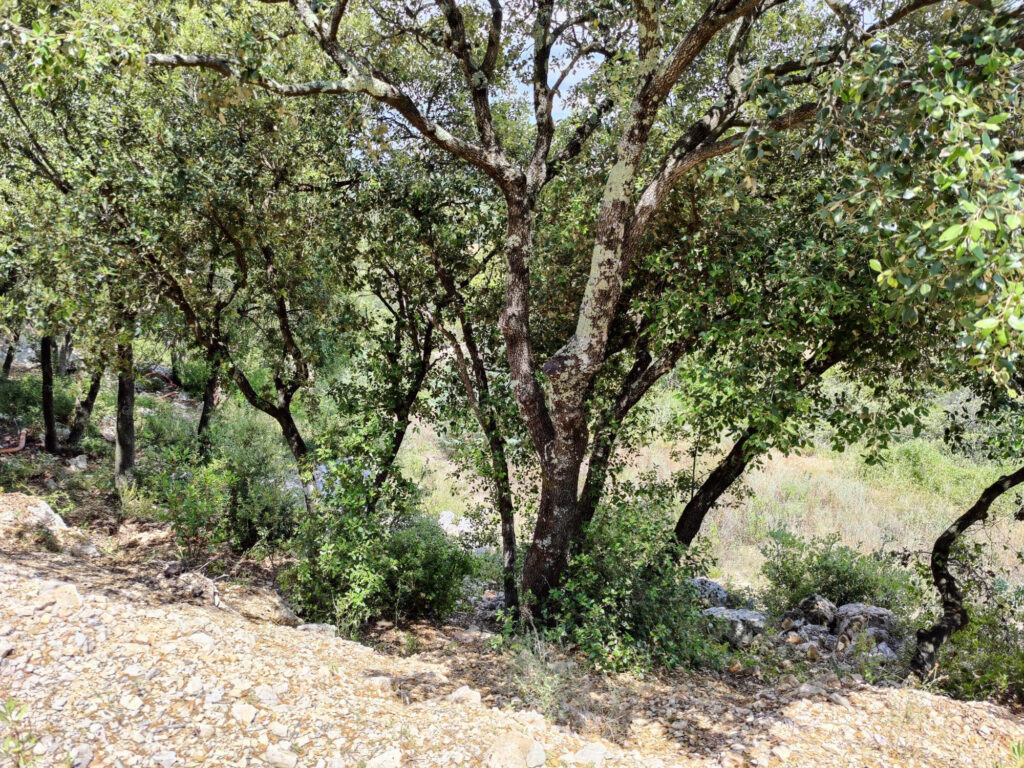 TERRAIN A BATIR ARGELLIERS