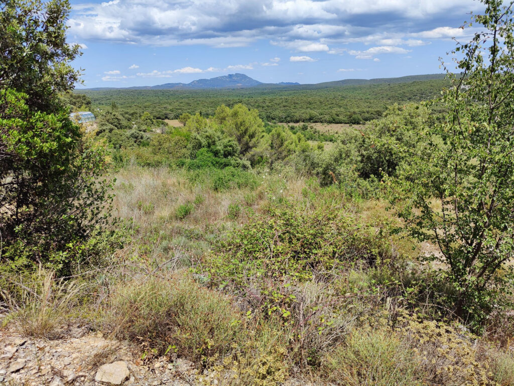 TERRAIN A BATIR ARGELLIERS