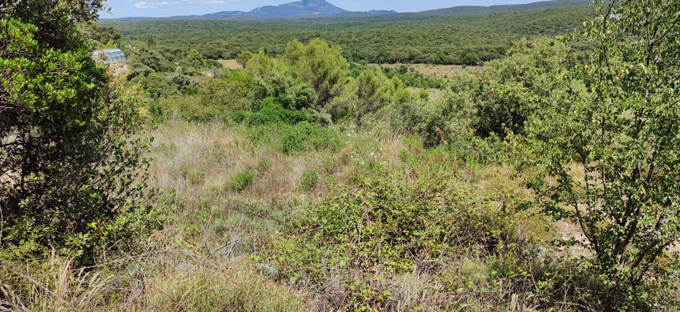 TERRAIN A BATIR ARGELLIERS