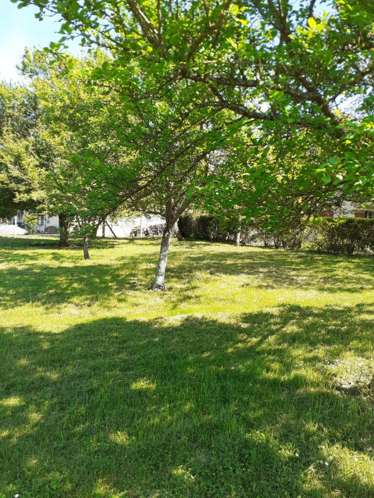 Propriété de famille dans joli village proche de Vichy