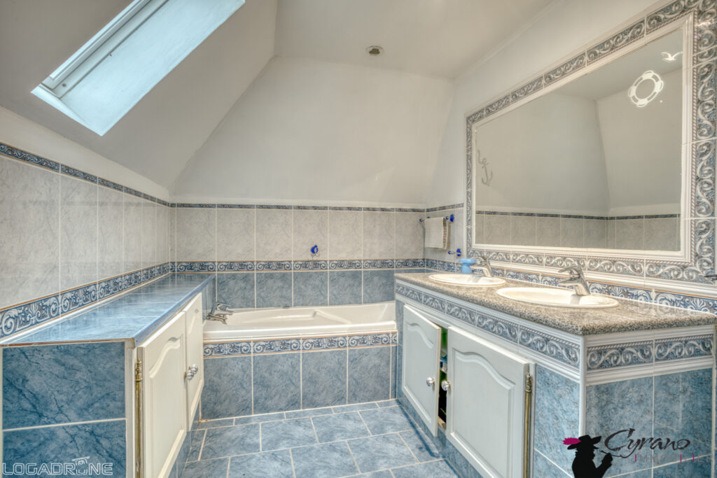 Ensemble immobilier 350 m2 habitables avec dépendances, appa