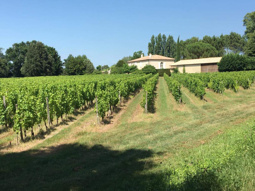  DEMEURE DE PRESTIGE AVEC PISCINE AU COEUR DES VIGNES!