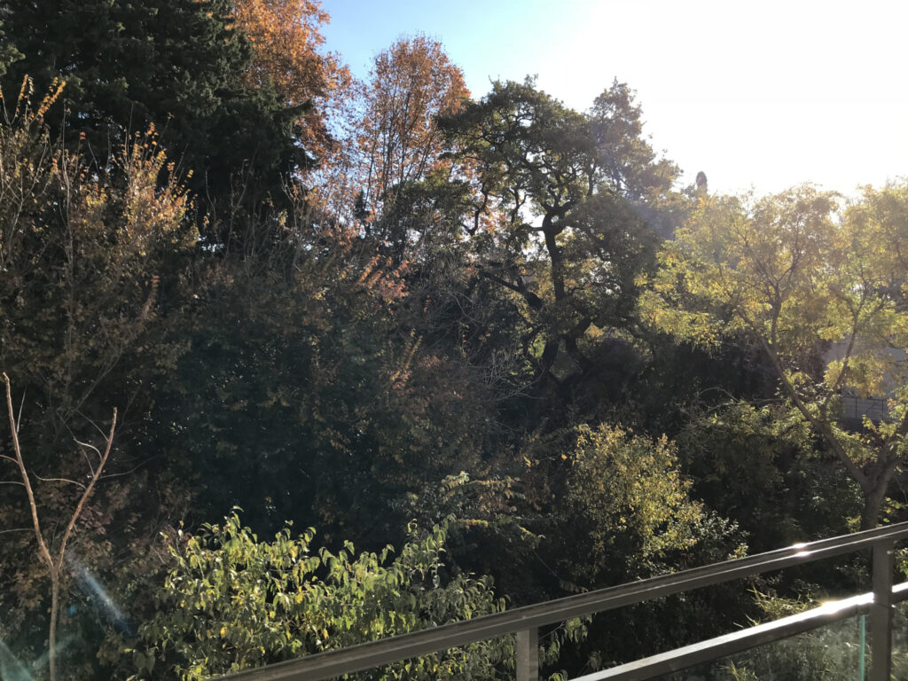 EXCLUSIVITÉ T3 NEUF  – 3 pièces – 2 chambres – 55 m²