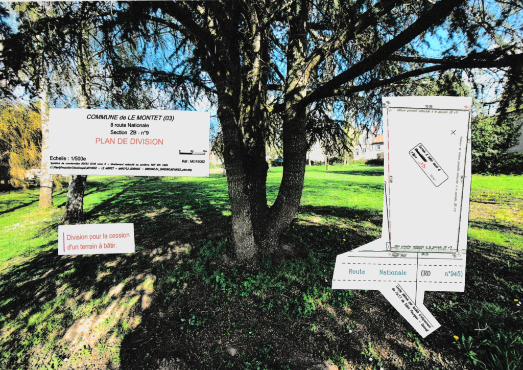 Beau terrain arboré – 1670 m²