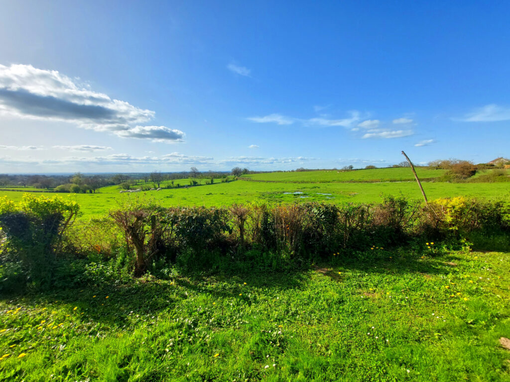 Beau terrain arboré – 1670 m²