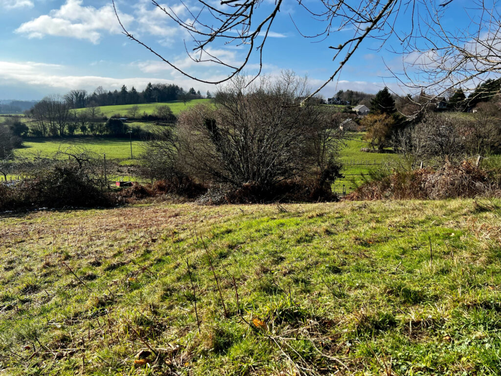 Terrain de 1405 m2 – 1405 m²