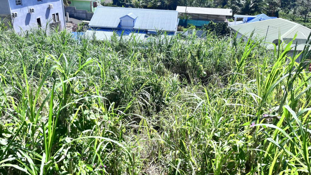 Terrain à bâtir 500m2 vue mer à Capesterre Belle-Eau