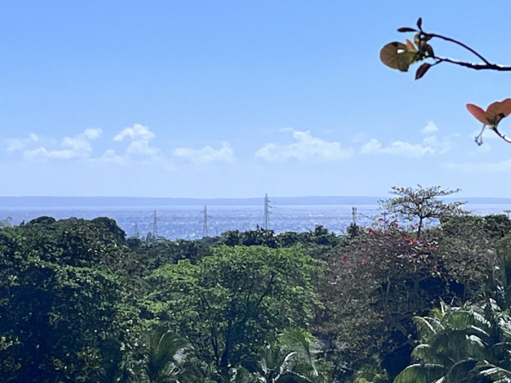 Terrain à bâtir 500m2 vue mer à Capesterre Belle-Eau