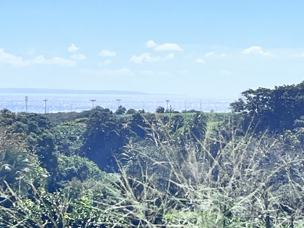 Terrain à bâtir 500m2 vue mer à Capesterre Belle-Eau