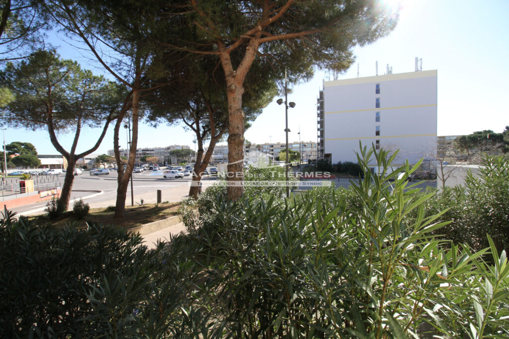 Studio vue parc – 1 pièce – 1 chambre – 23.45 m²