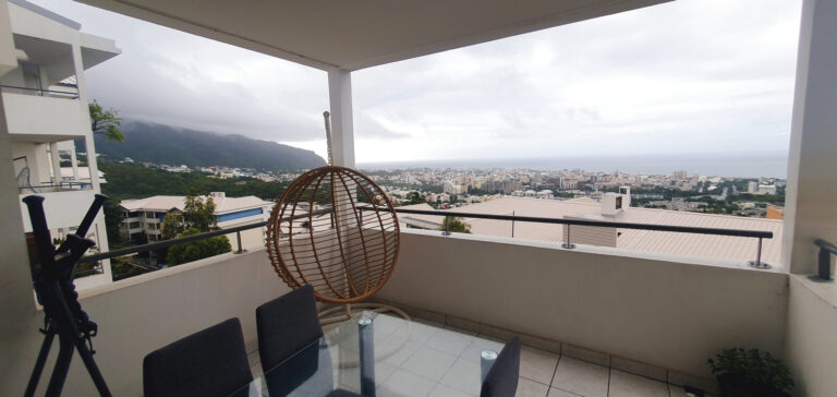 Direct immobilier, à vendre Appartement T2 de 57 m2, Saint-D – 2 pièces – 1 chambre – 46.23 m²