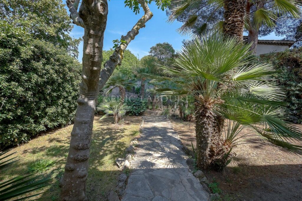 VILLA CANNES – BASSE CALIFORNIE – – 6 pièces – 4 chambres – 180 m²