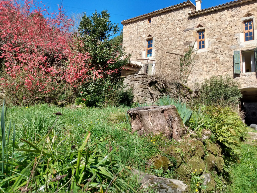 Authentique mas en pierre avec vue sur le massif Cévenol – 13 pièces – 3 chambres – 400 m²