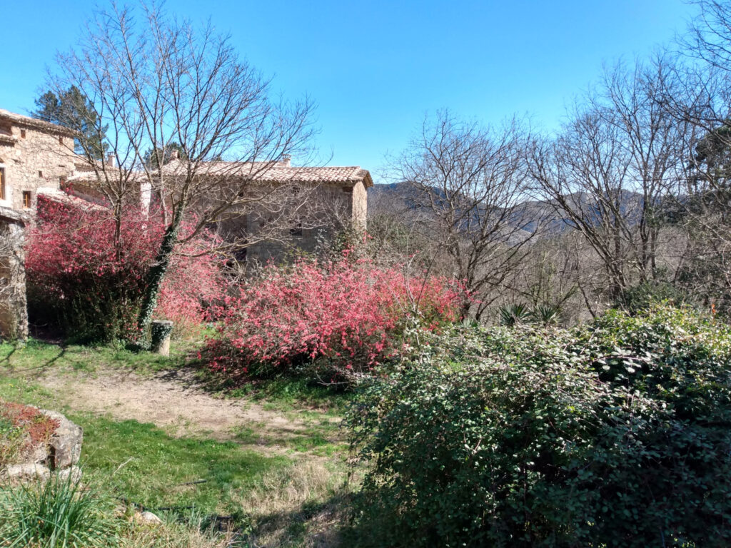 Authentique mas en pierre avec vue sur le massif Cévenol – 13 pièces – 3 chambres – 400 m²