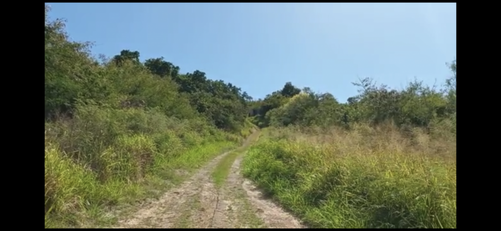 Terrain à bâtir 10160 m2 BAILLIF – 10160 m²