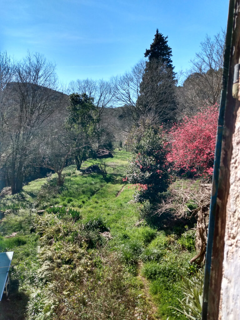 Authentique mas en pierre avec vue sur le massif Cévenol – 13 pièces – 3 chambres – 600 m²